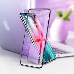 Devia Van Anti-blue Ray Full Screen Tempered Glass iPhone XR (6.1)  (10) цена и информация | Защитные пленки для телефонов | 220.lv