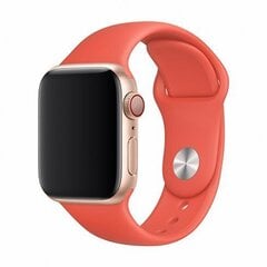 Браслет Devia Deluxe 44mm Apple Watch цена и информация | Аксессуары для смарт-часов и браслетов | 220.lv