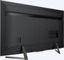 Sony KD-55XG9505 цена и информация | Televizori | 220.lv