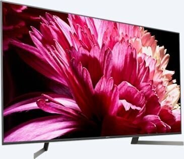 Sony KD-55XG9505 цена и информация | Televizori | 220.lv