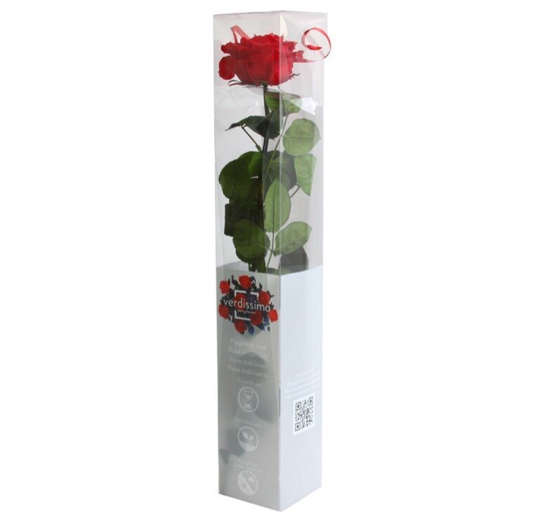 Stabilizētā roze Amorosa Premium sarkana cena un informācija | Stabilizētās rozes, augi | 220.lv