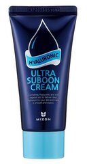 Intensīvi mitrinošs sejas krēms Mizon Hyaluronic Ultra Suboon Cream 45 ml cena un informācija | Sejas krēmi | 220.lv