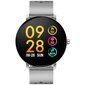 Denver SW-171 Grey цена и информация | Viedpulksteņi (smartwatch) | 220.lv