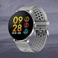 Denver SW-171 Grey цена и информация | Viedpulksteņi (smartwatch) | 220.lv