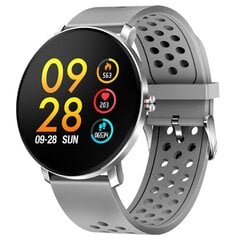 Denver SW-171 Grey цена и информация | Смарт-часы (smartwatch) | 220.lv