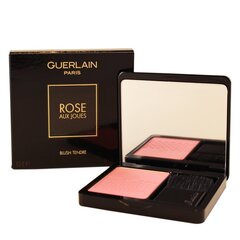 Vaigu sārtumi Guerlain Rose Aux Joues 02 Chic Pink 6,5 g cena un informācija | Bronzeri, vaigu sārtumi | 220.lv