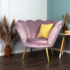 Krēsls TMS Tristan, rozā цена и информация | Кресла в гостиную | 220.lv