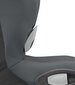 Maxi Cosi autokrēsliņš Axiss, 9-18 kg, Authentic graphite cena un informācija | Autokrēsliņi | 220.lv