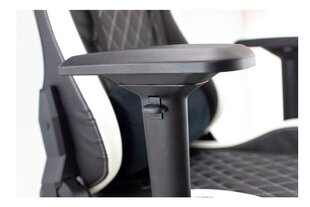 White Shark NITRO-GT Gaming Chair Nitro GT black/white цена и информация | Офисные кресла | 220.lv