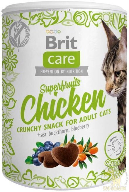 Snack Brit Care Superfruits Chicken 100g Kaķiem cena un informācija | Gardumi kaķiem | 220.lv