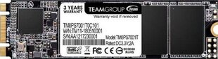 Team Group TM8PS7128G0C101 цена и информация | Внутренние жёсткие диски (HDD, SSD, Hybrid) | 220.lv