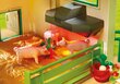 70132 PLAYMOBIL® Country, Ferma ar dzīvniekiem cena un informācija | Konstruktori | 220.lv