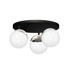 светильник sfera 3xe14, черный цена и информация | Потолочные светильники | 220.lv
