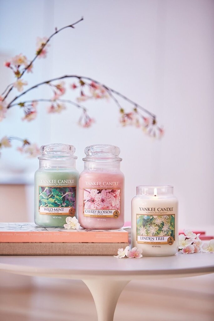 Aromātiska svece ar ķiršu ziediem Yankee Candle Cherry Blossom 623 g cena un informācija | Sveces un svečturi | 220.lv