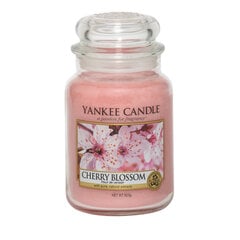 Ароматическая свеча с цветущей вишней Yankee Candle Cherry Blossom, 623 г цена и информация | Подсвечники, свечи | 220.lv