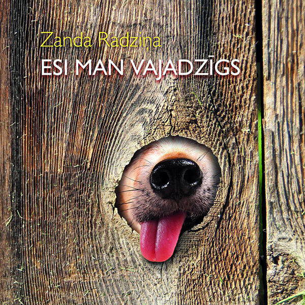 Esi man vajadzīgs цена и информация | Enciklopēdijas, uzziņu literatūra | 220.lv