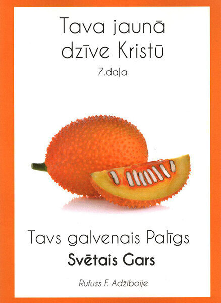 Tavs galvenais palīgs Svētais Gars цена и информация | Garīgā literatūra | 220.lv