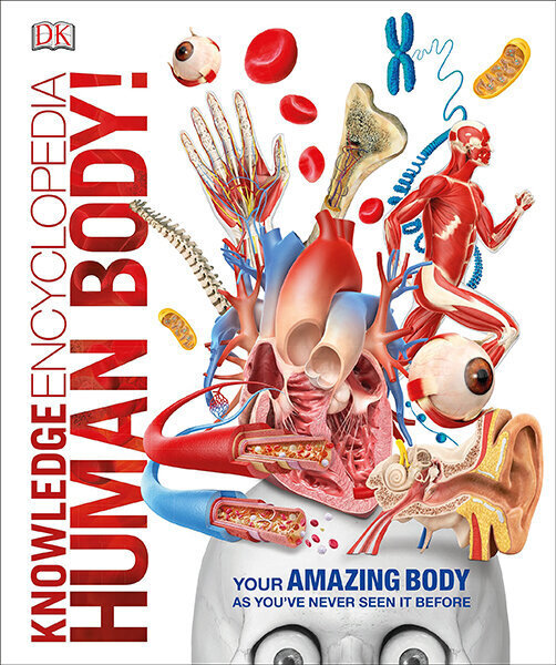 Knowledge Encyclopedia Human Body! цена и информация | Enciklopēdijas, uzziņu literatūra | 220.lv