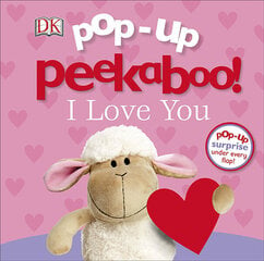 Pop-Up Peekaboo! I Love You цена и информация | Книги для детей | 220.lv