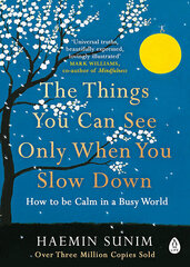 Things You Can See Only When You Slow Down : How to be Calm in a Busy World cena un informācija | Pašpalīdzības grāmatas | 220.lv