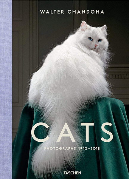 Walter Chandoha. Cats. Photographs 1942-2018 цена и информация | Enciklopēdijas, uzziņu literatūra | 220.lv