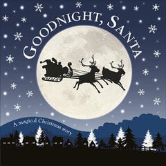 Goodnight, Santa : A Magical Christmas Story цена и информация | Книги для детей | 220.lv