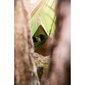 Tents Amazonas Wing, zaļš cena un informācija | Šūpuļtīkli | 220.lv