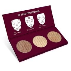 Контурная палитра для лица Affect Contour Palette 3 x 6 г цена и информация | Пудры, базы под макияж | 220.lv