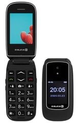 Evelatus Wave 2020 Dual SIM Graphite Black цена и информация | Мобильные телефоны | 220.lv