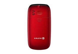 Evelatus Wave 2020 Dual SIM Maroon Red цена и информация | Мобильные телефоны | 220.lv