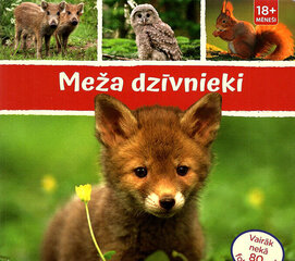 Meža dzīvnieki cena un informācija | Grāmatas mazuļiem | 220.lv
