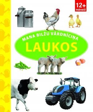 Mana bilžu vārdnīciņa Laukos цена и информация | Grāmatas mazuļiem | 220.lv