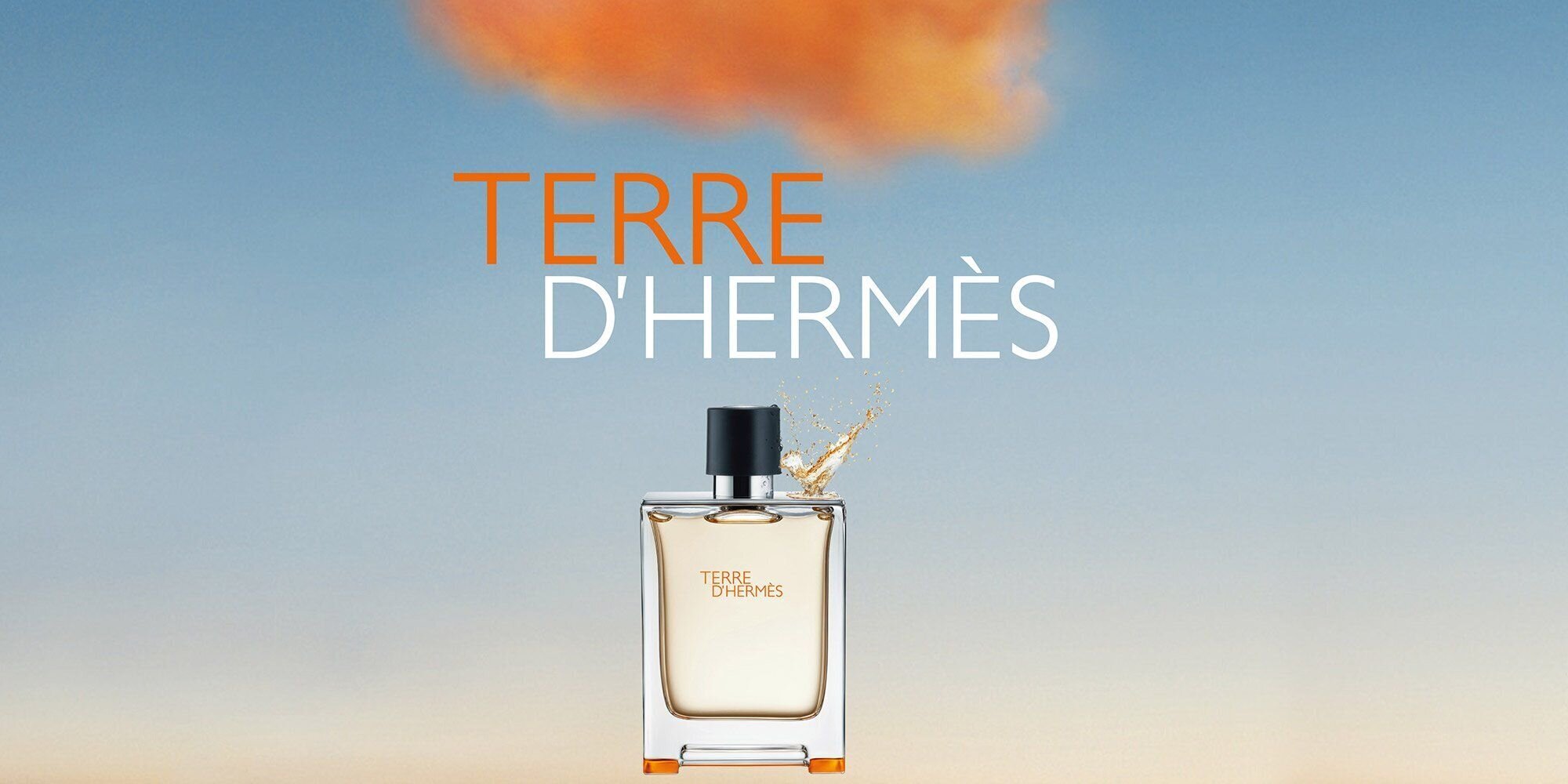 Tualetes ūdens Hermes Terre D'hermes EDT vīriešiem 30 ml cena un informācija | Vīriešu smaržas | 220.lv