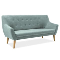 Dīvāns TMS Amber 2.5, zils cena un informācija | Dīvāni | 220.lv
