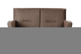 Dīvāns TMS Forest 2, brūns cena un informācija | Dīvāni | 220.lv