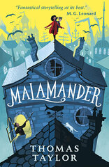 Malamander цена и информация | Романы | 220.lv