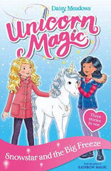 Unicorn Magic: Snowstar and the Big Freeze : Special 1 цена и информация | Книги для детей | 220.lv