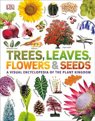 Trees, Leaves, Flowers & Seeds : A visual encyclopedia of the plant kingdom цена и информация | Романы | 220.lv
