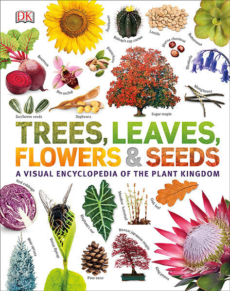 Trees, Leaves, Flowers & Seeds : A visual encyclopedia of the plant kingdom цена и информация | Romāni | 220.lv