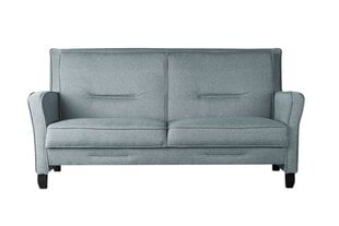 Dīvāns TMS Forest 2.5, zils cena un informācija | Dīvāni | 220.lv