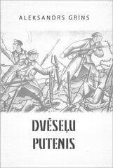 Dvēseļu putenis cena un informācija | Romāni | 220.lv