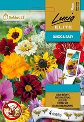 Цветочная смесь (для защиты от слизней, улиток) цена и информация | Семена цветов | 220.lv