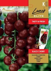Помидоры BLACK CHERRY цена и информация | Семена овощей, ягод | 220.lv