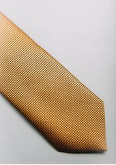 Brūna kaklasaite cena un informācija | Kaklasaites, tauriņi | 220.lv