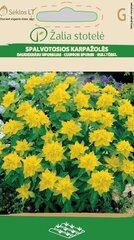 DAUDZKRĀSU EIFORBIJAS цена и информация | Семена цветов | 220.lv