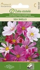 KOSMEJAS SEA SHELLS цена и информация | Семена цветов | 220.lv