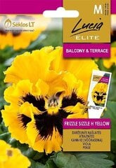 ATRAITNĪTES FRIZZLE SIZZLE H YELLOW цена и информация | Семена цветов | 220.lv