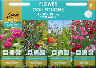 FLOWER COLLECTIONS 4 PAKLĀJIŅI „LUCIA ELITE” 1 GAB cena un informācija | Puķu sēklas | 220.lv