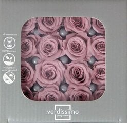 Stabilizētas Princess rozes 16 gab., Cherry Blossom cena un informācija | Stabilizētās rozes, augi | 220.lv