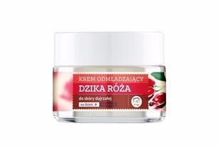 Омолаживающий дневной и ночной крем для лица Farmona Herbal Care Wild Rose 50 мл цена и информация | Наносите на чистую кожу лица. Подержите около 10-15 минут и смойте водой. | 220.lv